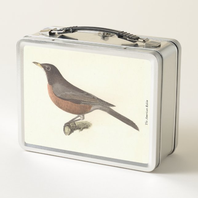 El Robin Americano (Turdus migratorius) Aves de Nu (Reverso)
