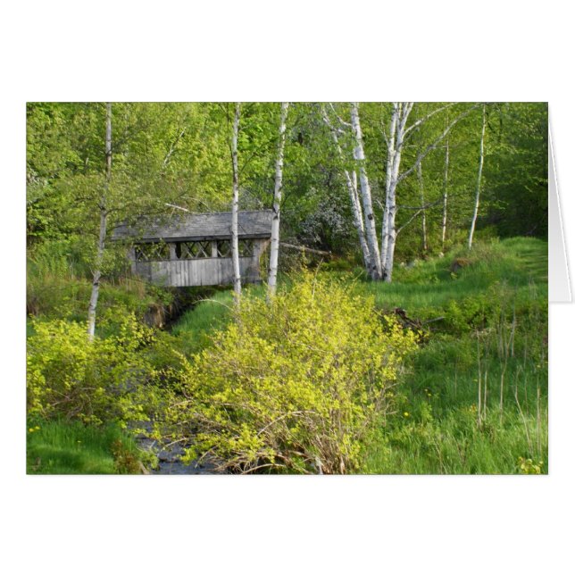 El roble más grande (Anverso (Horizontal))