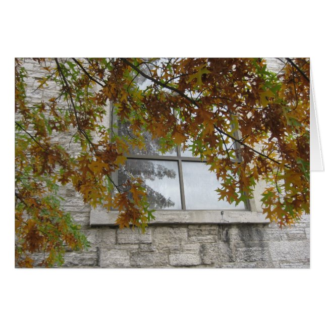 El roble otoñal de San Pablo (Anverso (Horizontal))