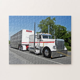 El rompecabezas de Bontrager 379