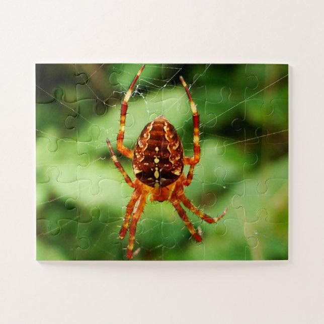 El rompecabezas de la araña de los niños (Horizontal)