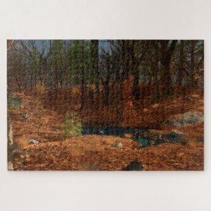 El rompecabezas de la tarde del año