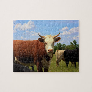 El rompecabezas de la VACA de KANSAS