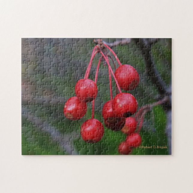 El rompecabezas de las Berries Rojas de Kansas (Horizontal)