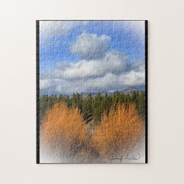 El rompecabezas de los dos autobuses amarillos