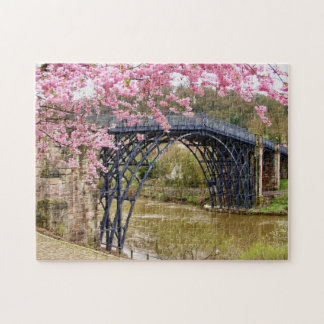 El rompecabezas de Vista