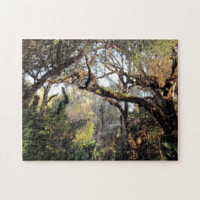 El rompecabezas del bosque mágico (Horizontal)