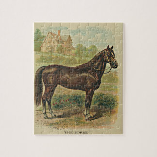 El rompecabezas del caballo