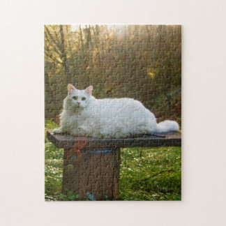 El rompecabezas del camino de Mikey