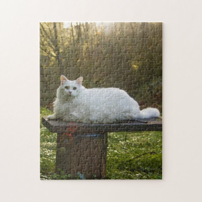 El rompecabezas del camino de Mikey (Vertical)