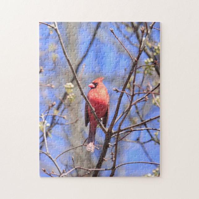 El rompecabezas del cardenal norte masculino en el (Vertical)