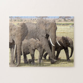 El rompecabezas del elefante