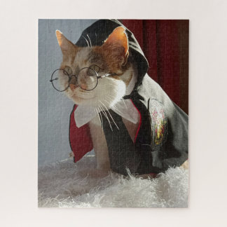 El rompecabezas del gato del asistente