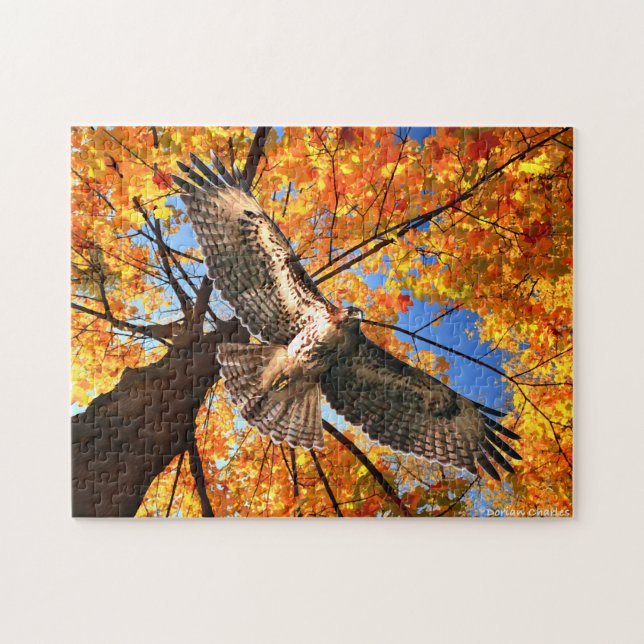 El rompecabezas del "Halcón Domingo" (Horizontal)