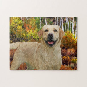 El rompecabezas del "Kimba"