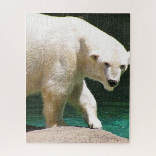 El rompecabezas del OSO POLAR (Vertical)