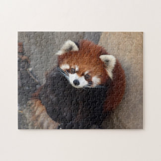 El rompecabezas del Panda Rojo