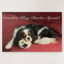 El rompecabezas del rey Charles Spaniel