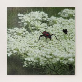 El rompecabezas del rompecabezas de Elderflower