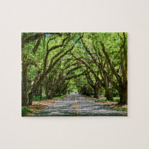 El rompecabezas del rompecabezas del límite sur d