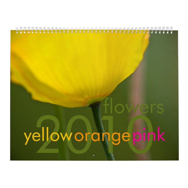 El rosa amarillo-naranja florece el calendario (Tapa)