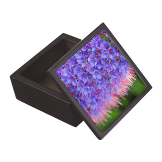 El rosa azota la caja de regalo superior