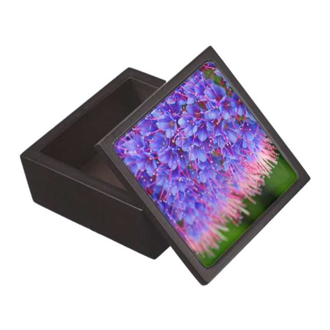 El rosa azota la caja de regalo superior (Abierto)