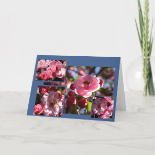 El rosa florece cualquier tarjeta de felicitación
