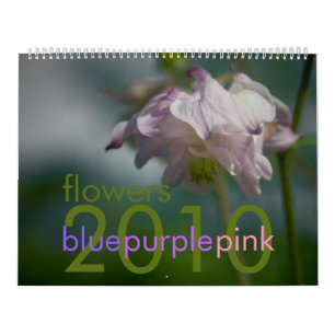 El rosa púrpura azul florece el calendario 2010