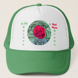 El rosa rojo crece en mi gorra del jardín