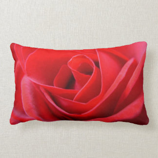 El rosa rojo de las almohadas color de rosa