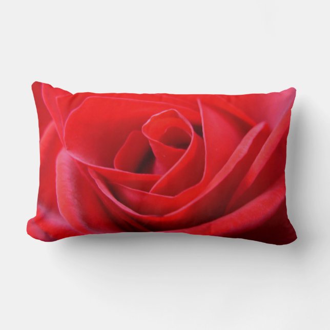 El rosa rojo de las almohadas color de rosa (Anverso)