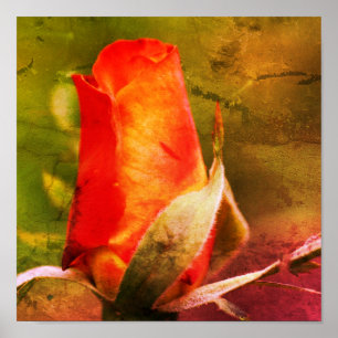 El Rosebud Rojo cierra el arte perturbado