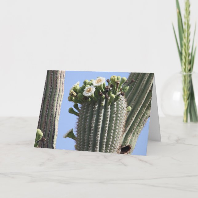 El Saguaro florece tarjeta de felicitación (Anverso)