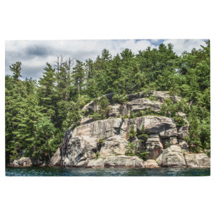 El salto del arte Metalizado en la pared de Frye