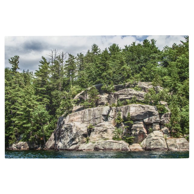 El salto del arte Metalizado en la pared de Frye (Anverso)