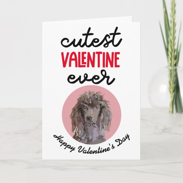 El San Valentín más lindo... tarjeta de tu Caniche (Anverso)