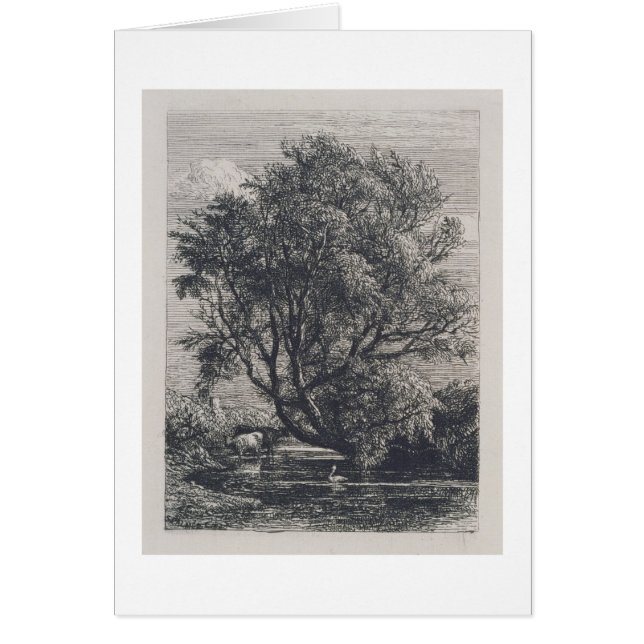 El sauce (aguafuerte) (Frente)