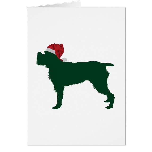 El señalar Griffon Wirehaired (Frente)