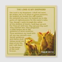 El Señor es mi Pastor