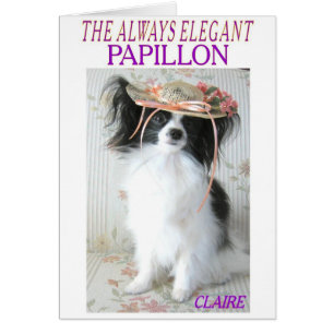 EL SIEMPRE ELEGANTE PAPILLÓN
