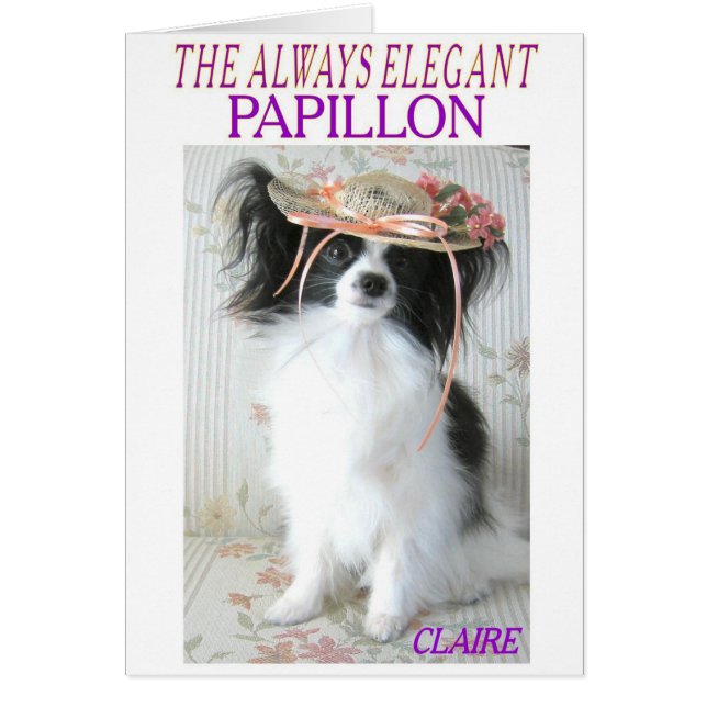 EL SIEMPRE ELEGANTE PAPILLÓN (Frente)