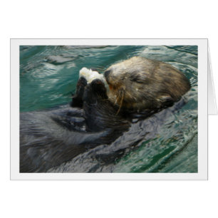 El Snacking de la nutria de mar