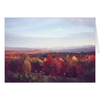 "El sol atrapa las copas de los árboles"