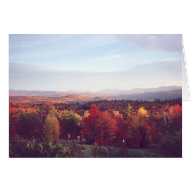 "El sol atrapa las copas de los árboles" (Anverso (Horizontal))