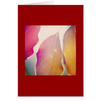 El sol brilla a través de las hojas