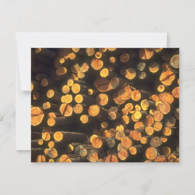 El sol de la tarde registra la invitación del (Anverso)