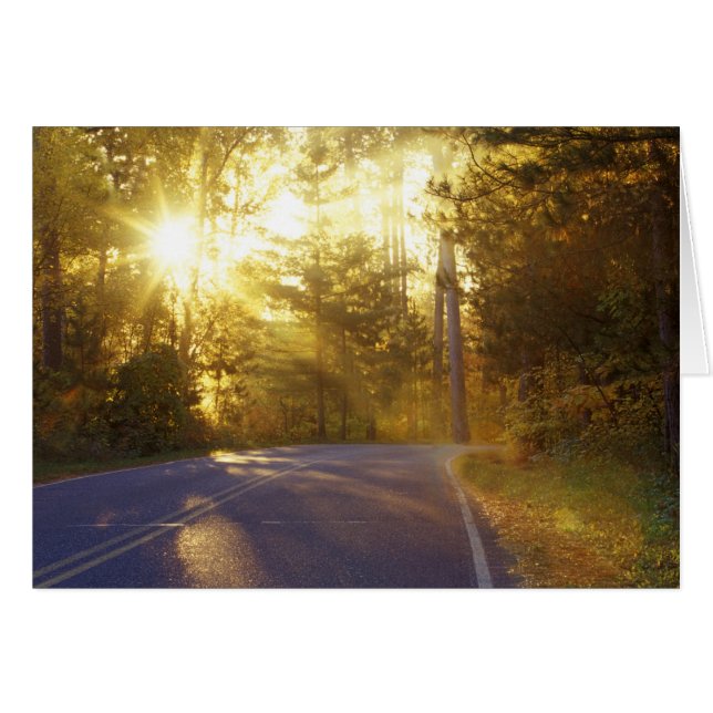 El sol estalla a través del bosque sobre la carret (Anverso (Horizontal))