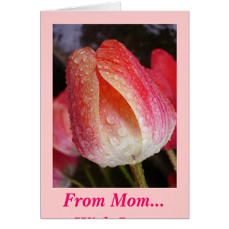 El Sol Sale, De Mamá... Con amor