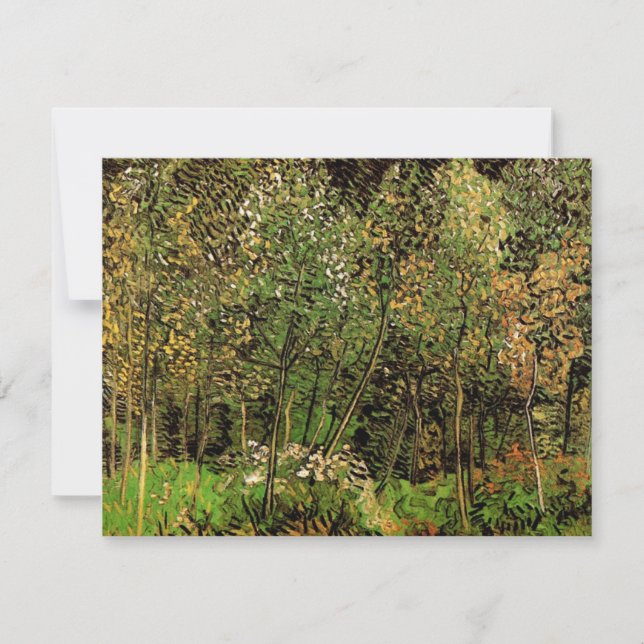 El soto de Vincent van Gogh (Anverso)